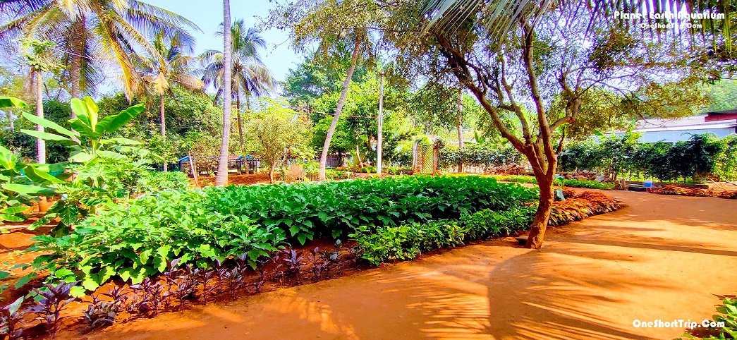 Planet Earth Aquarium Mysuru attraction