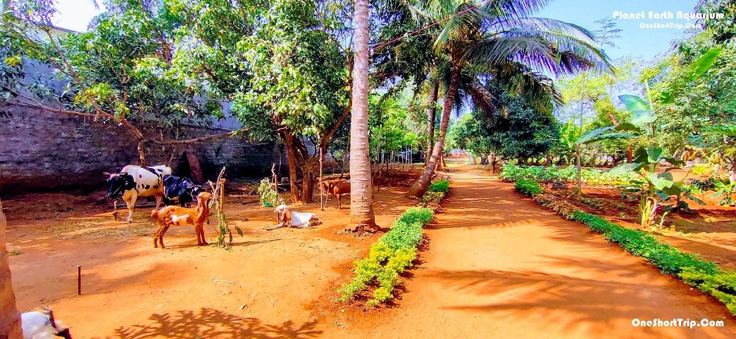 Planet Earth Aquarium Mysuru family attraction