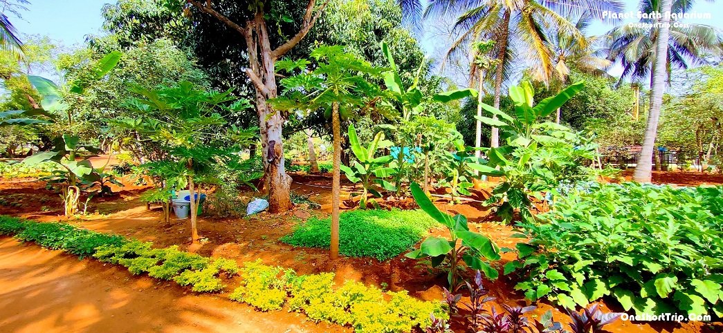 Planet Earth Aquarium Mysuru outdoor activities