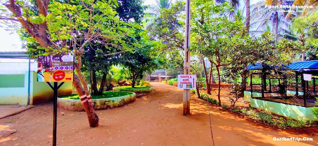 Planet Earth Aquarium Mysuru recreation area