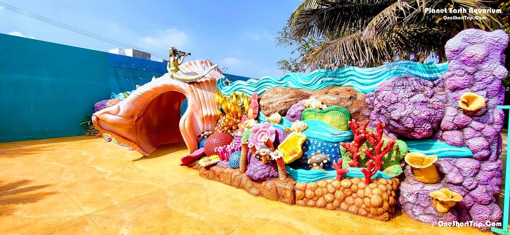 Planet Earth Aquarium Mysuru aquarium attraction