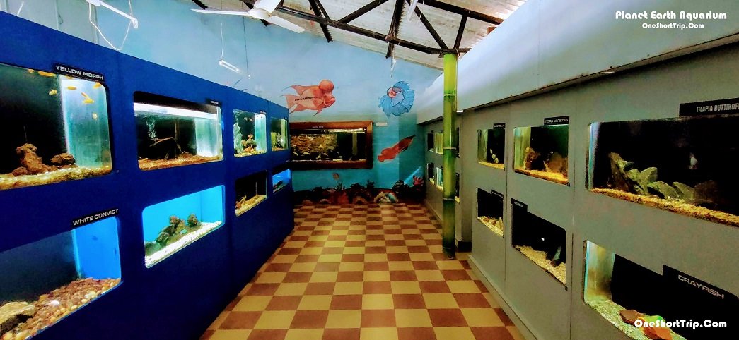 Animals and birds at Planet Earth Aquarium Mysuru