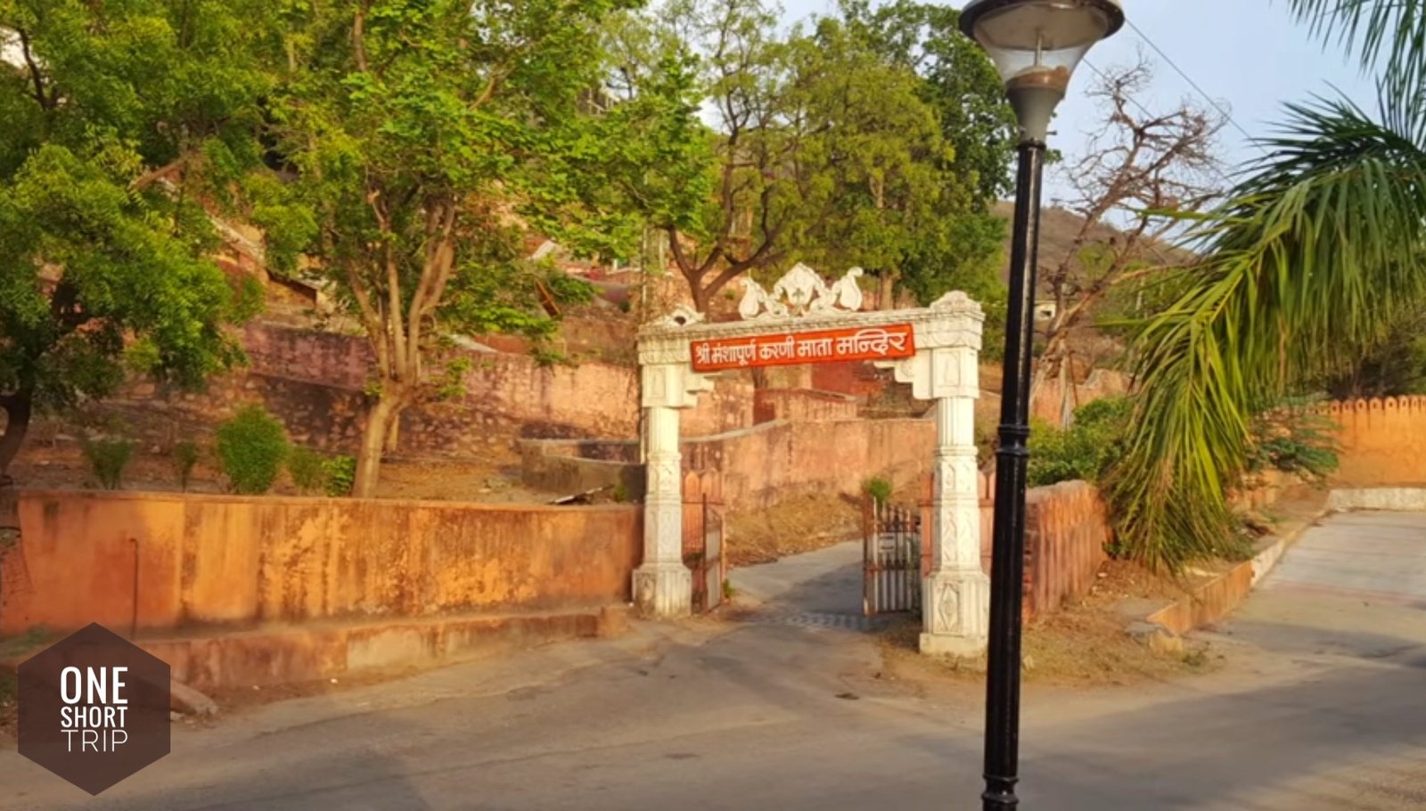 Sacred rats at Karni Mata Temple Deshnok