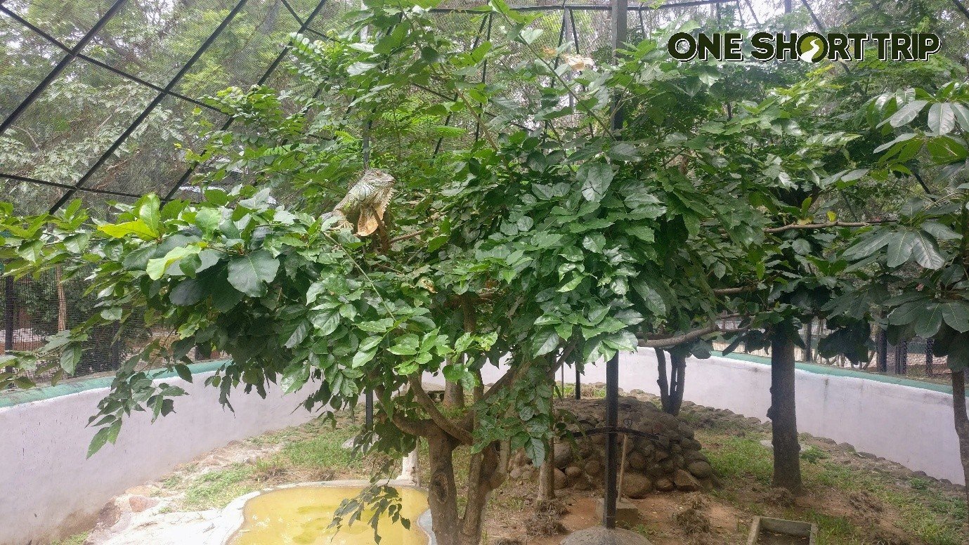 Bannerghatta National Park Bannerghatta National Park