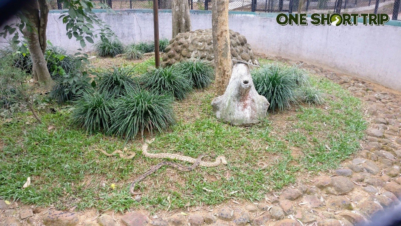 Bannerghatta National Park Bannerghatta National Park