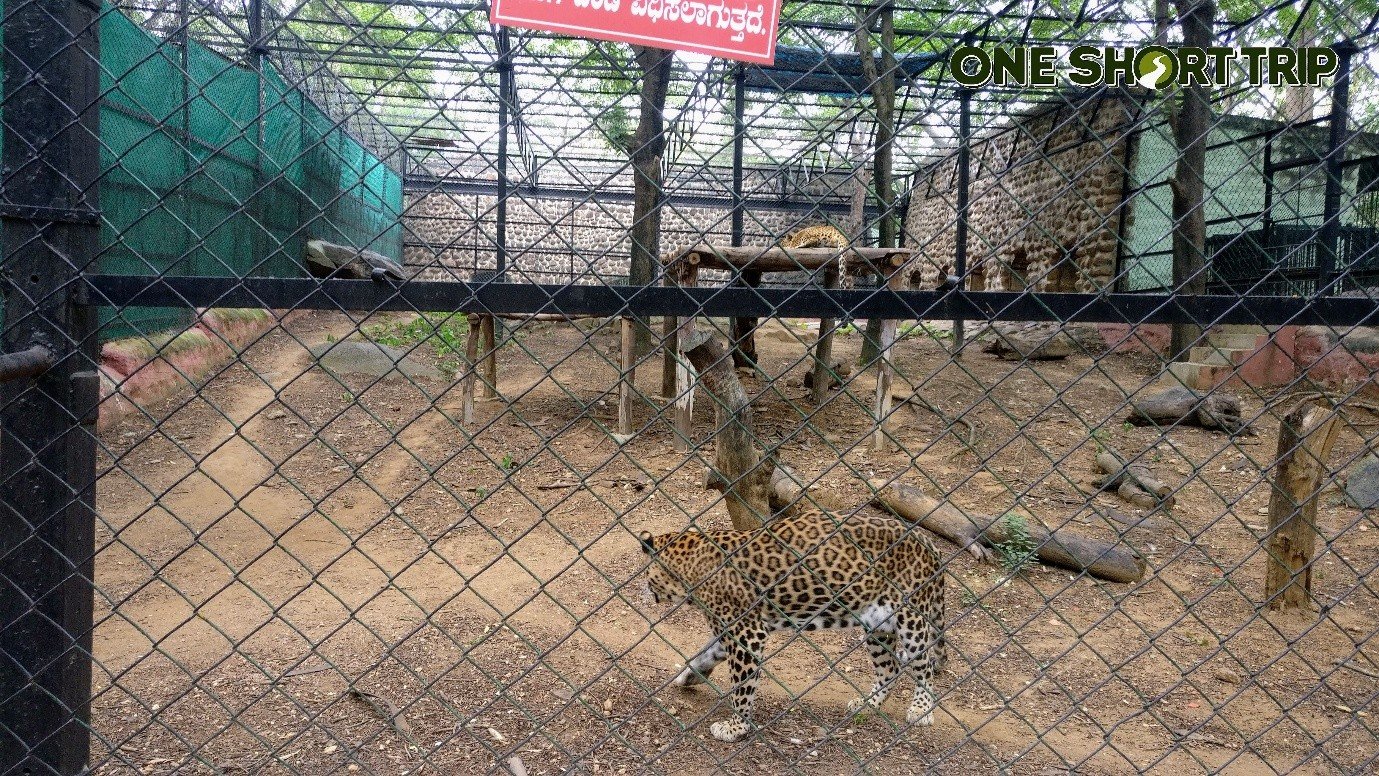 Bannerghatta National Park Bannerghatta National Park