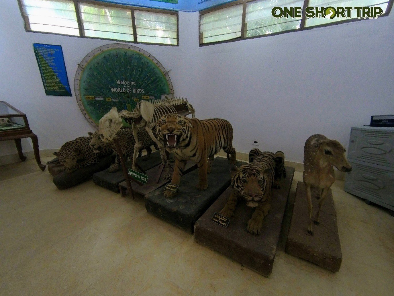 Bannerghatta National Park Bannerghatta National Park