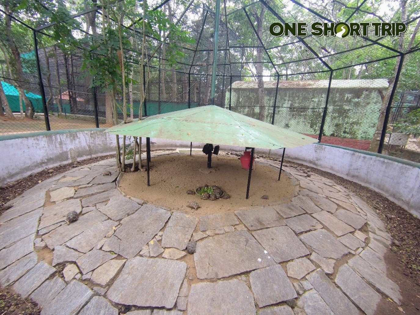 Bannerghatta National Park Bannerghatta National Park