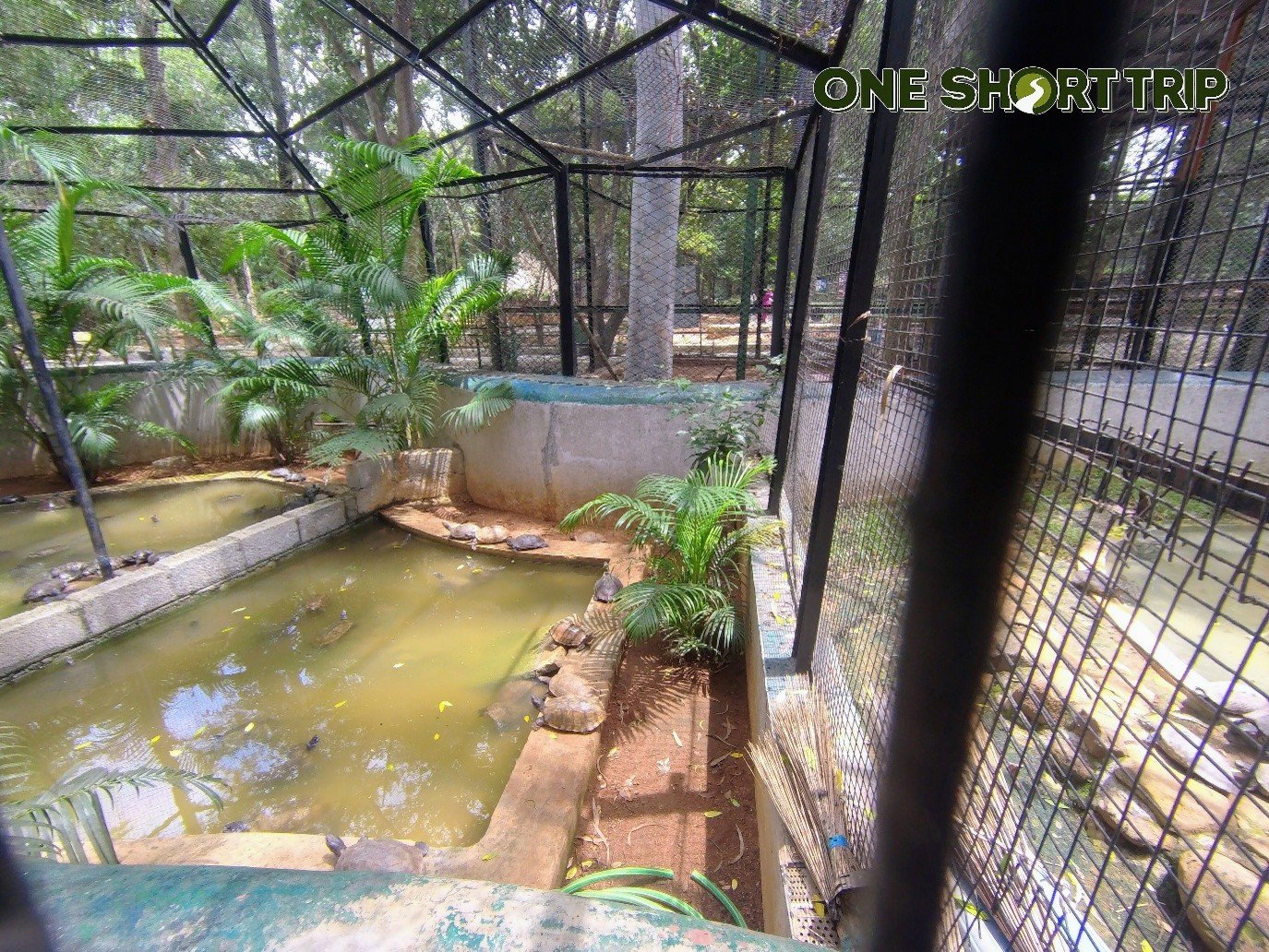 Bannerghatta National Park Bannerghatta National Park