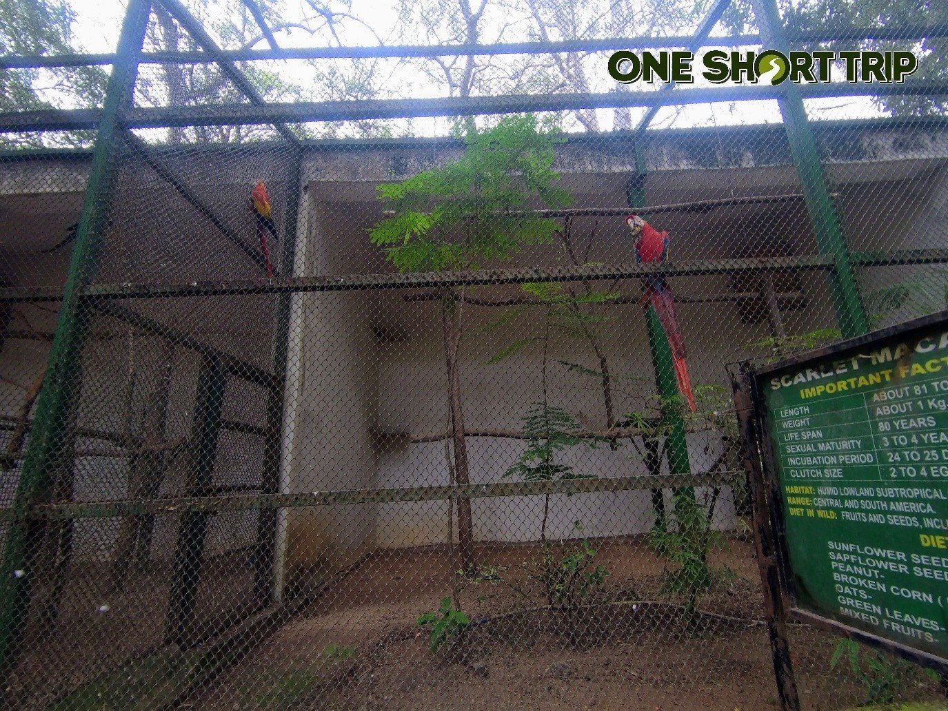 Bannerghatta National Park Bannerghatta National Park