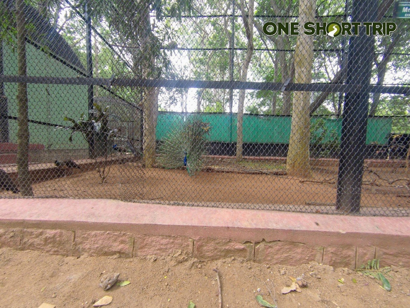 Bannerghatta National Park Bannerghatta National Park