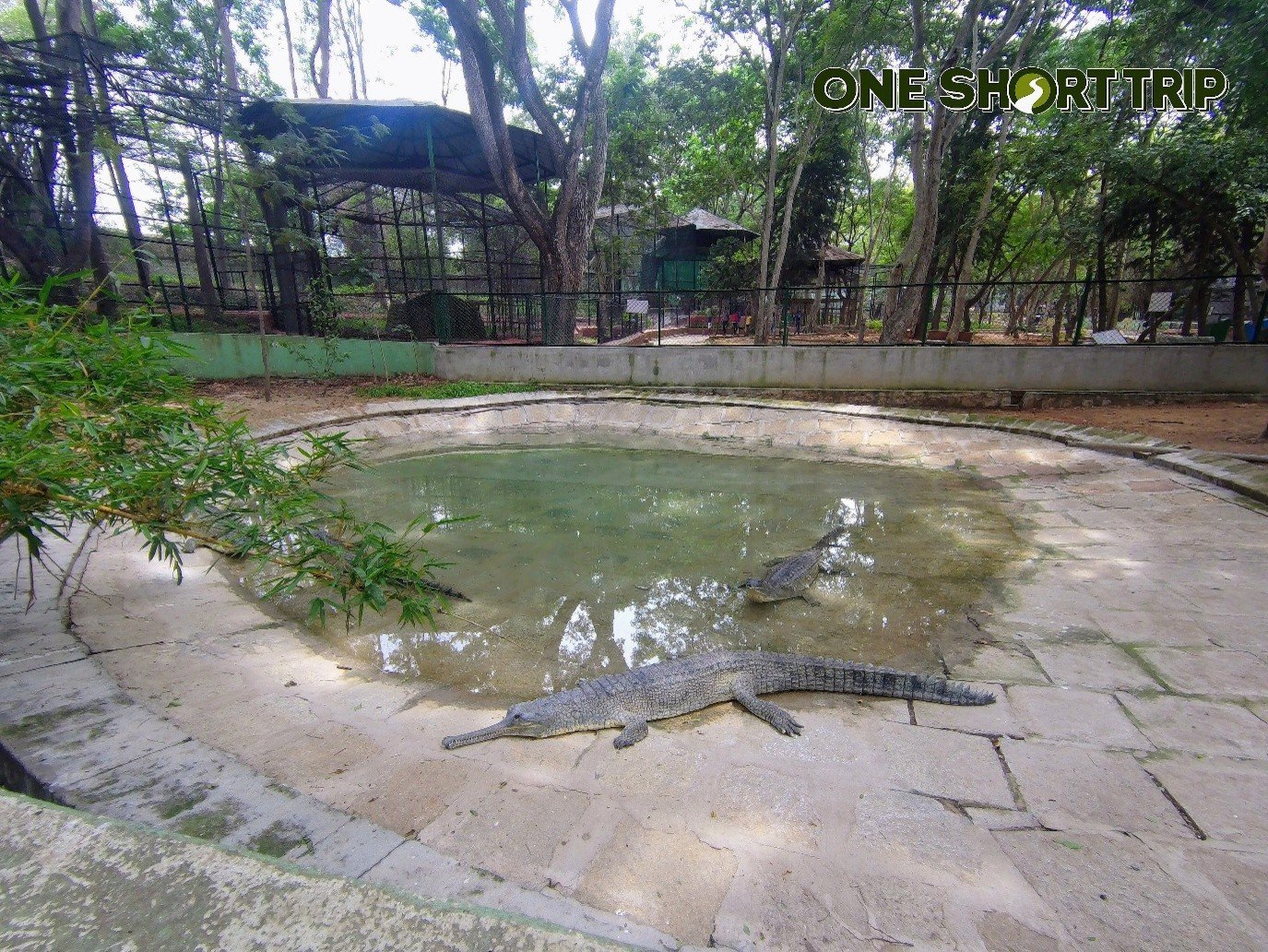 Family visit to Bannerghatta National Park Bengaluru