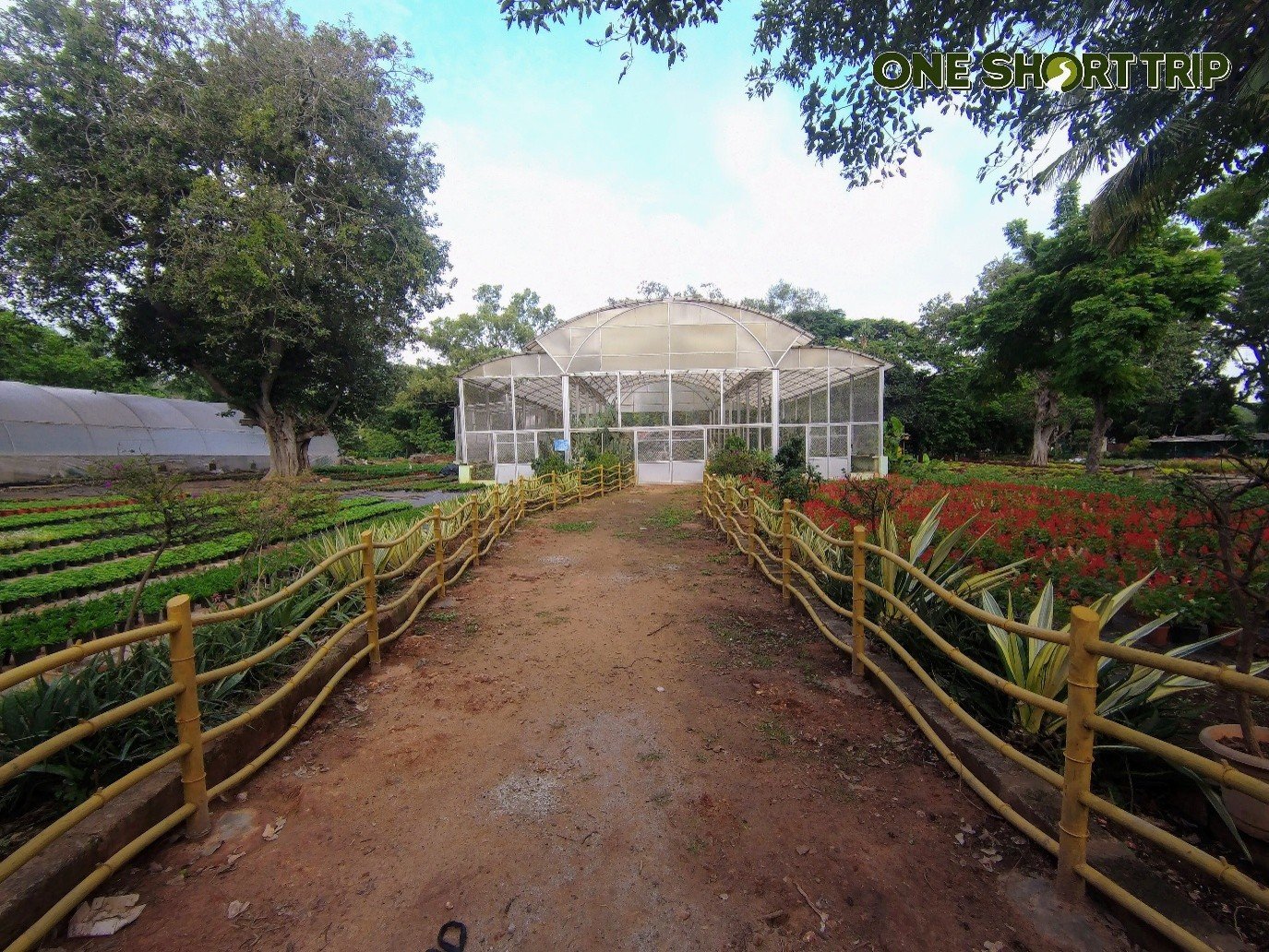 Lalbagh Botanical Garden Lalbagh Botanical Garden
