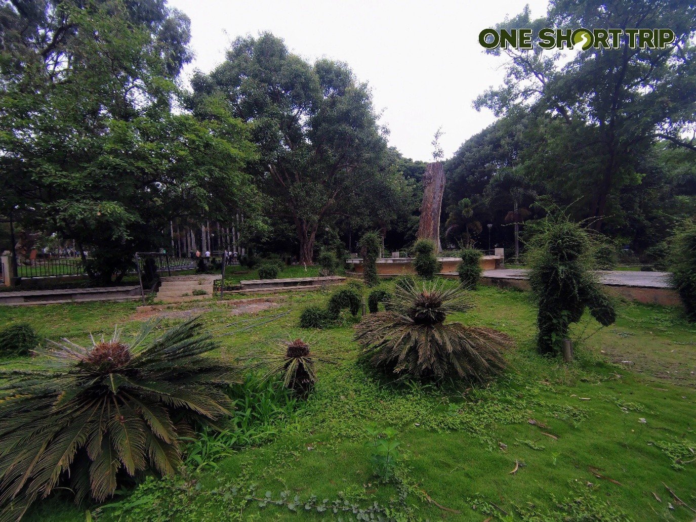 Lalbagh Botanical Garden Lalbagh Botanical Garden
