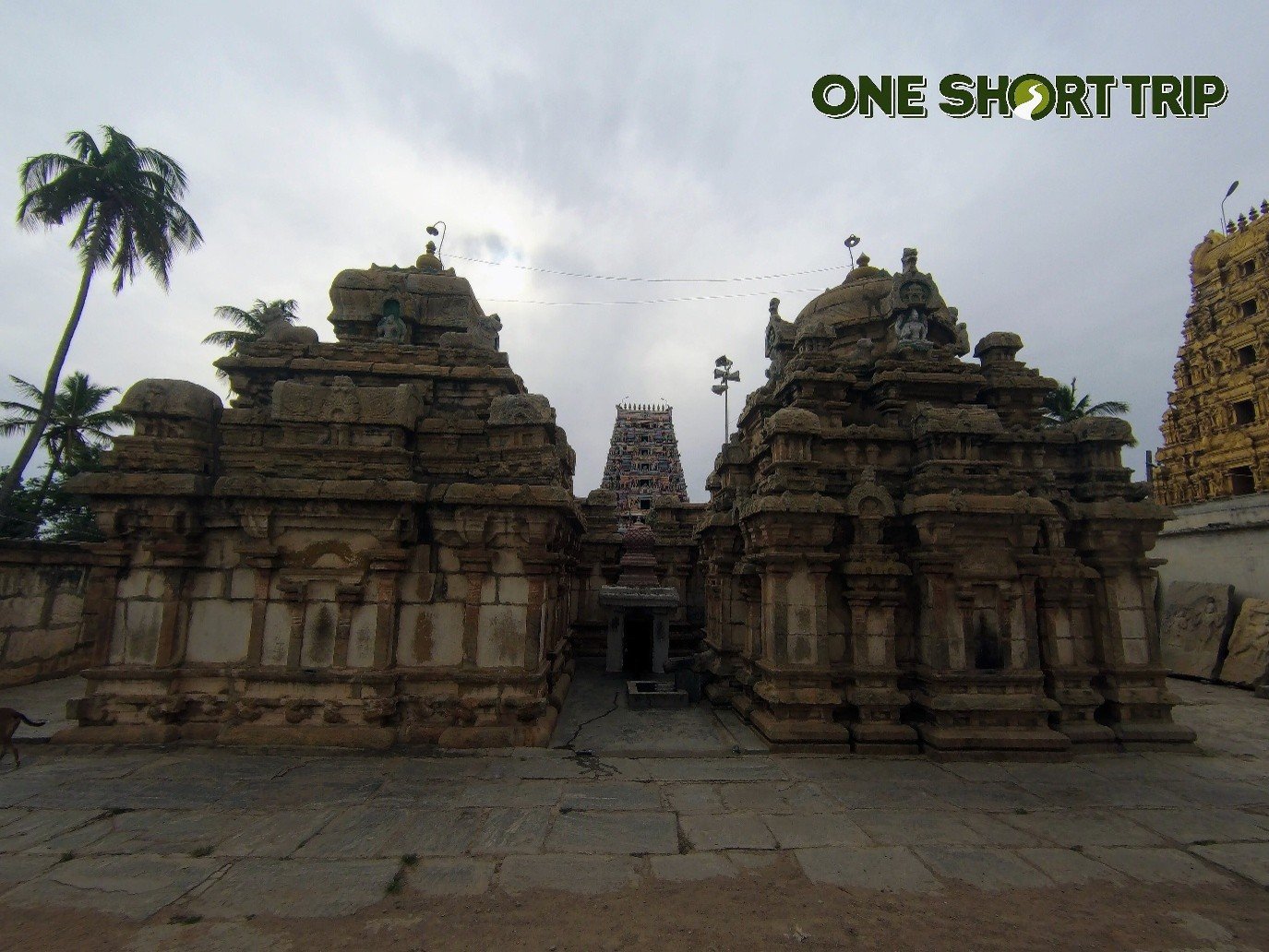 Sri Panchalinga Nageshwara Temple – Begur Bengaluru Sri Panchalinga Nageshwara Temple – Begur, Bengaluru