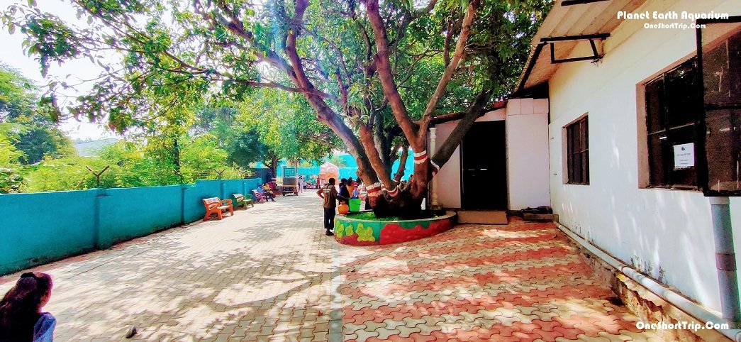 planet earth aquarium mysore Planet Earth Aquarium