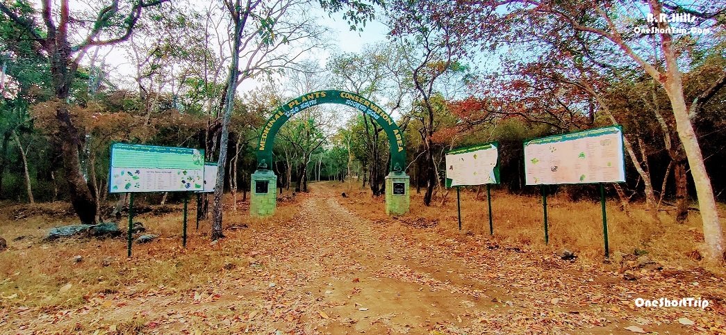 Forest checkpost on the route to B.R. Hills Tiger Reserve