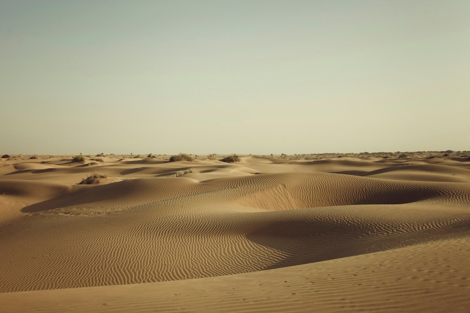 About 1 Thar desert dunes in Rajasthan at golden hour