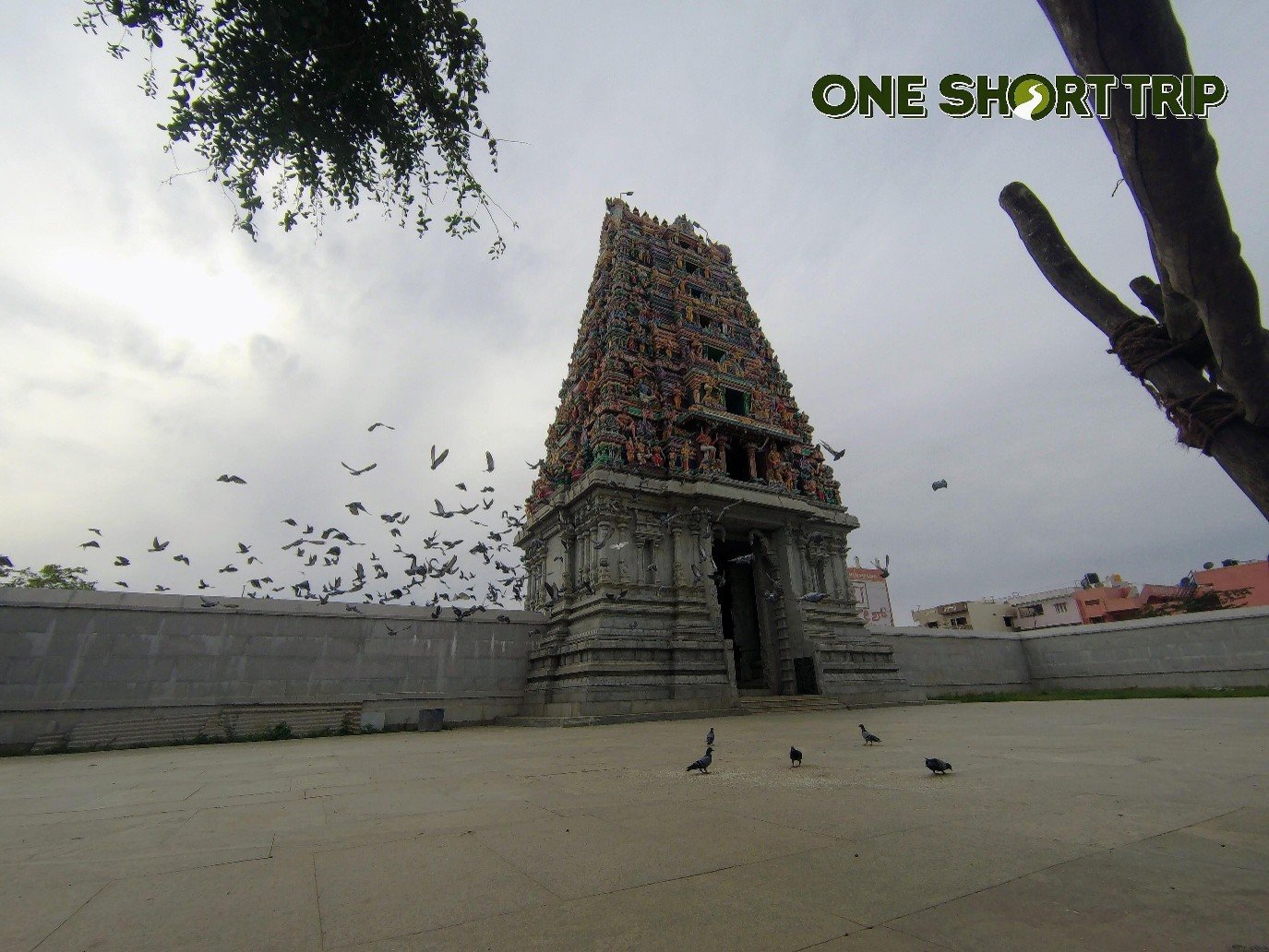 Sri Panchalinga Nageshwara Temple