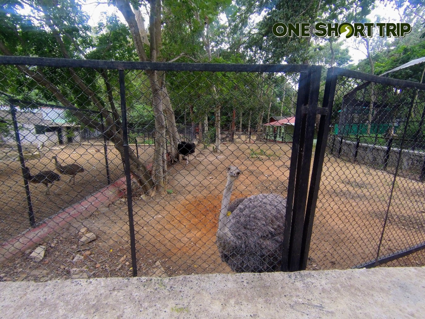 Bannerghatta National Park 3 Forested landscape and safari trail inside Bannerghatta National Park