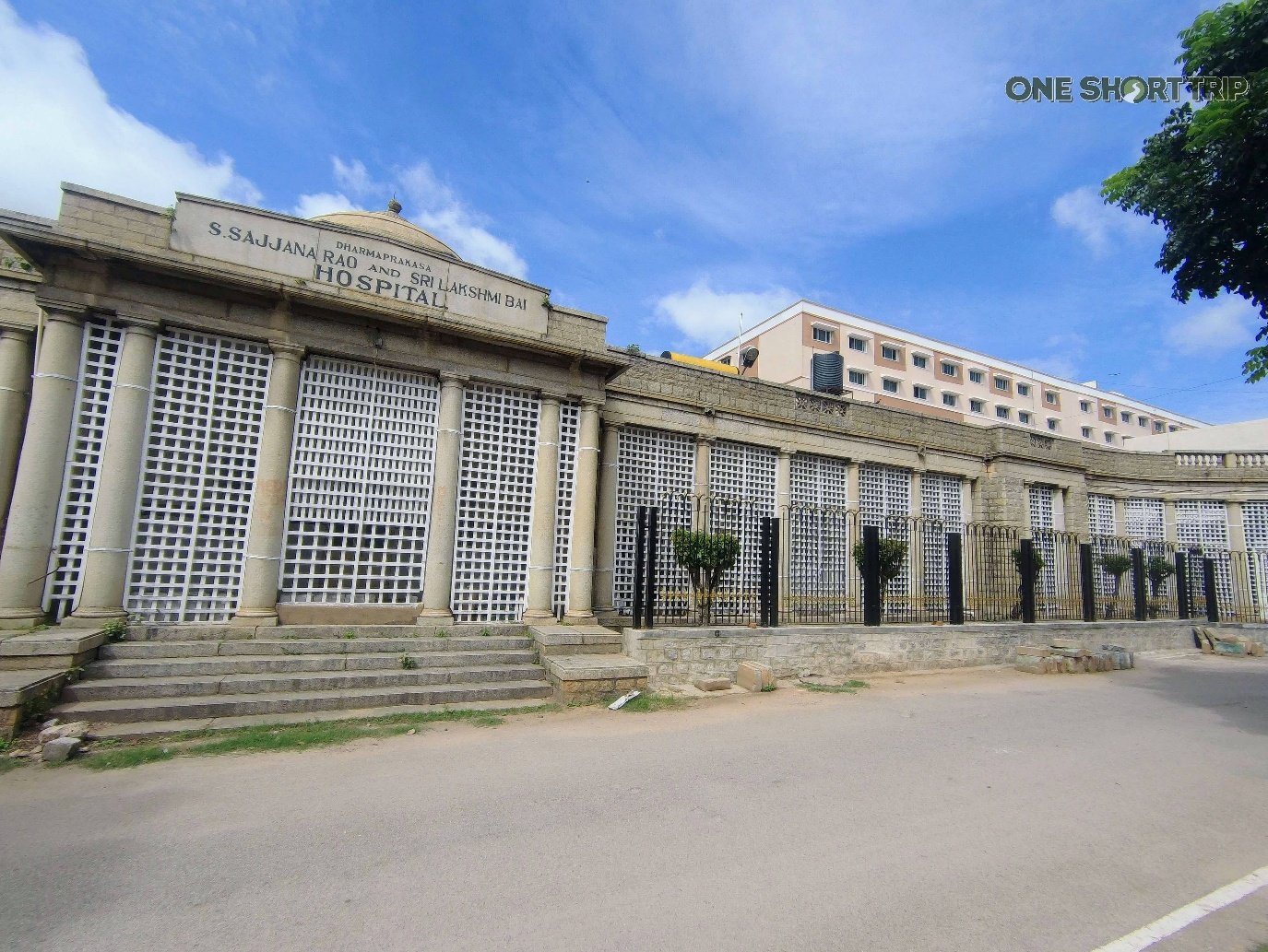 Vani Vilas Hospital