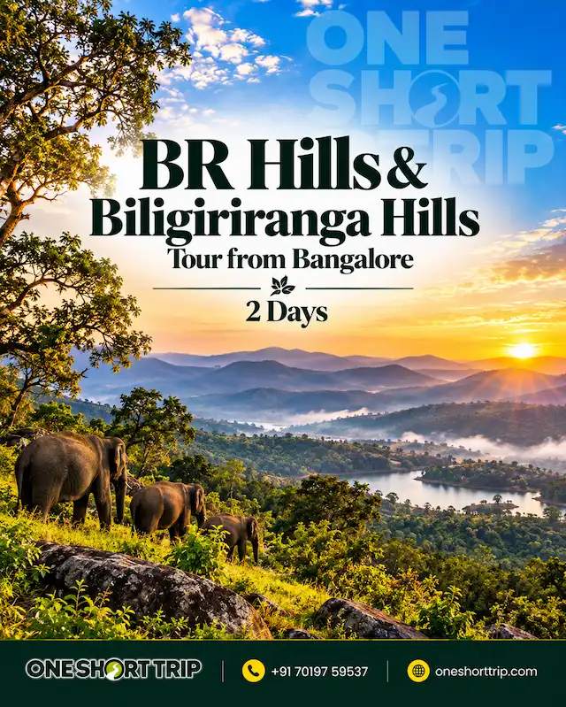 BR Hills Biligiriranga Hills Tour from Bangalore
