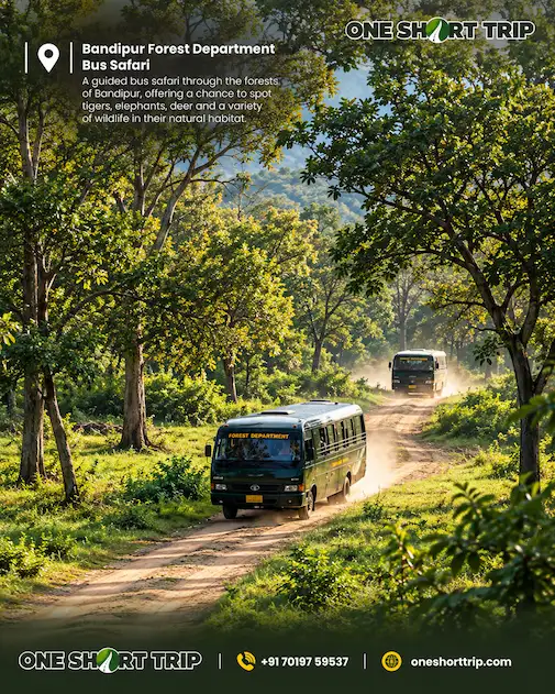 Forest Department bus safari in Bandipur National Park