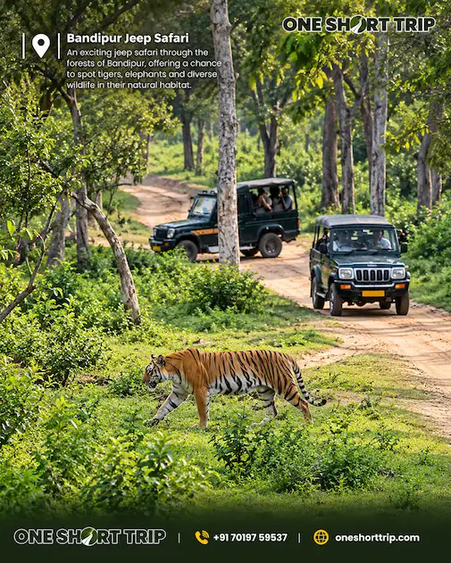 Jeep safari in Bandipur National Park
