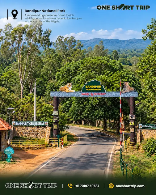 Bandipur National Park forest landscape