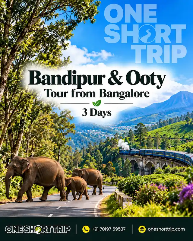 Bandipur and Ooty Tour from Bangalore