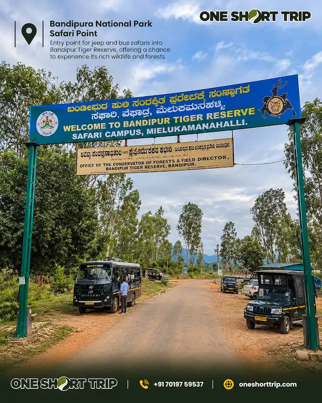 Bandipur National Park safari point
