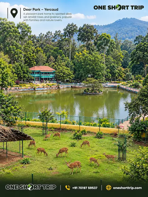 Deer Park near Yercaud Lake in Yercaud