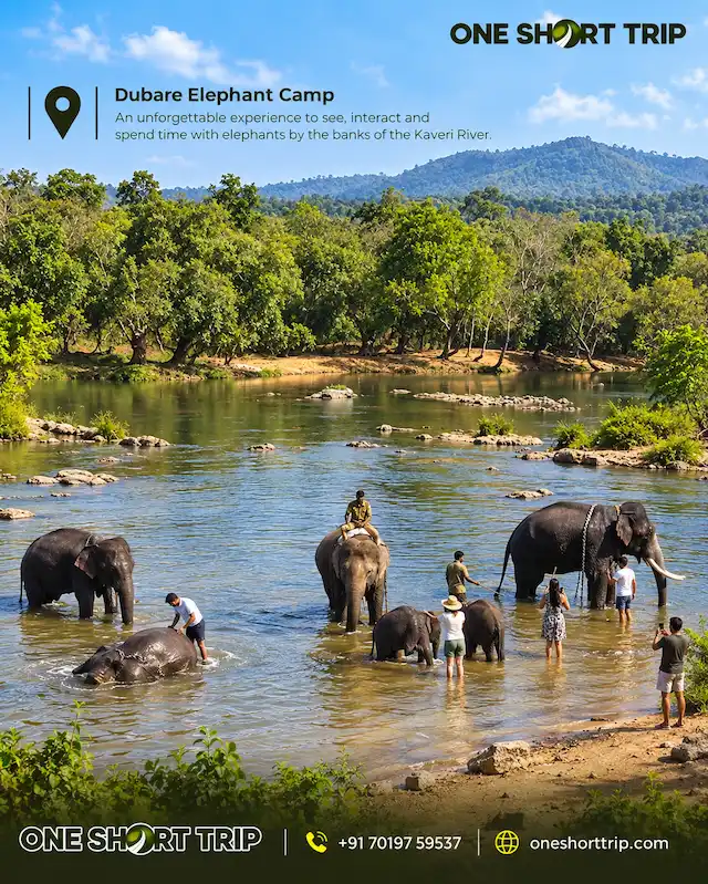 Dubare Elephant Camp beside the Cauvery River in Coorg
