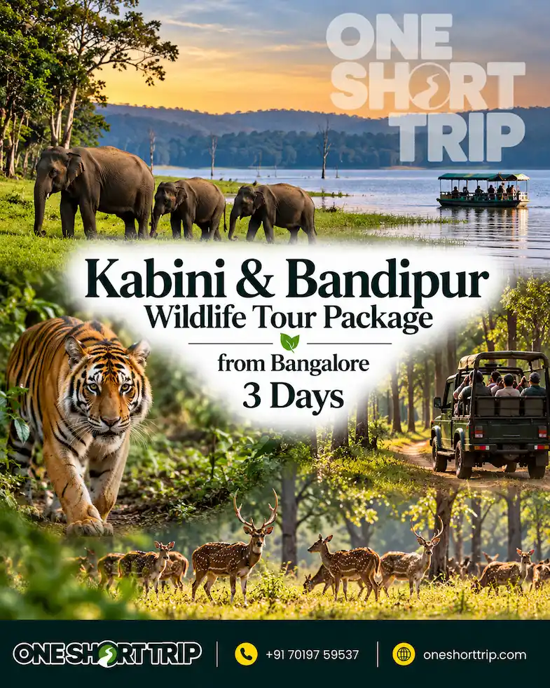 Kabini and Bandipur Wildlife Tour from Bangalore