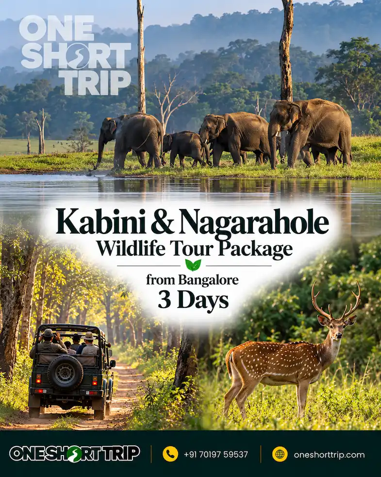Kabini and Nagarhole Wildlife Tour from Bangalore
