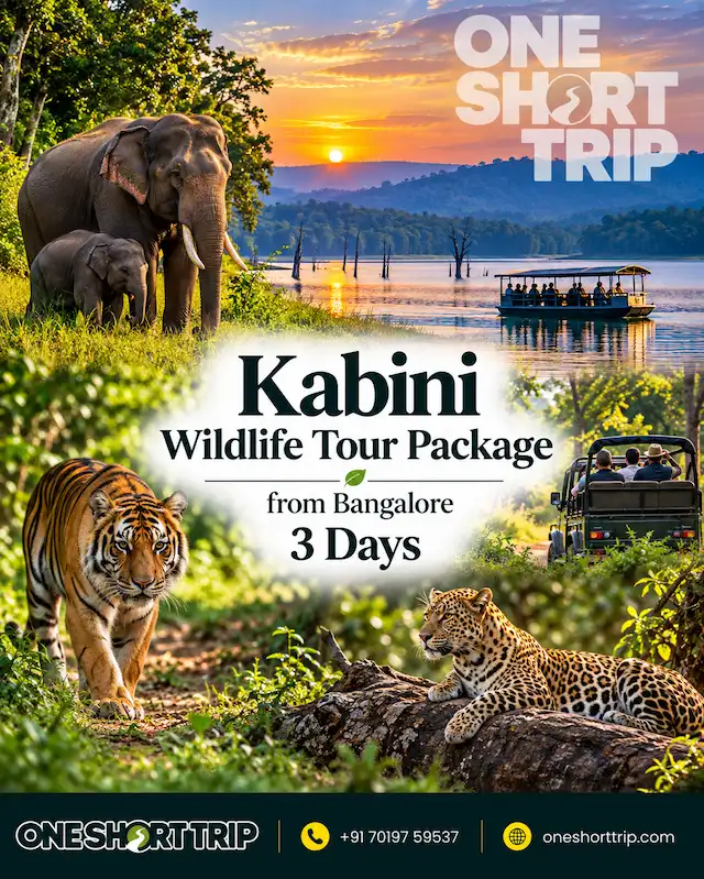 Kabini Wildlife Tour Package from Bangalore