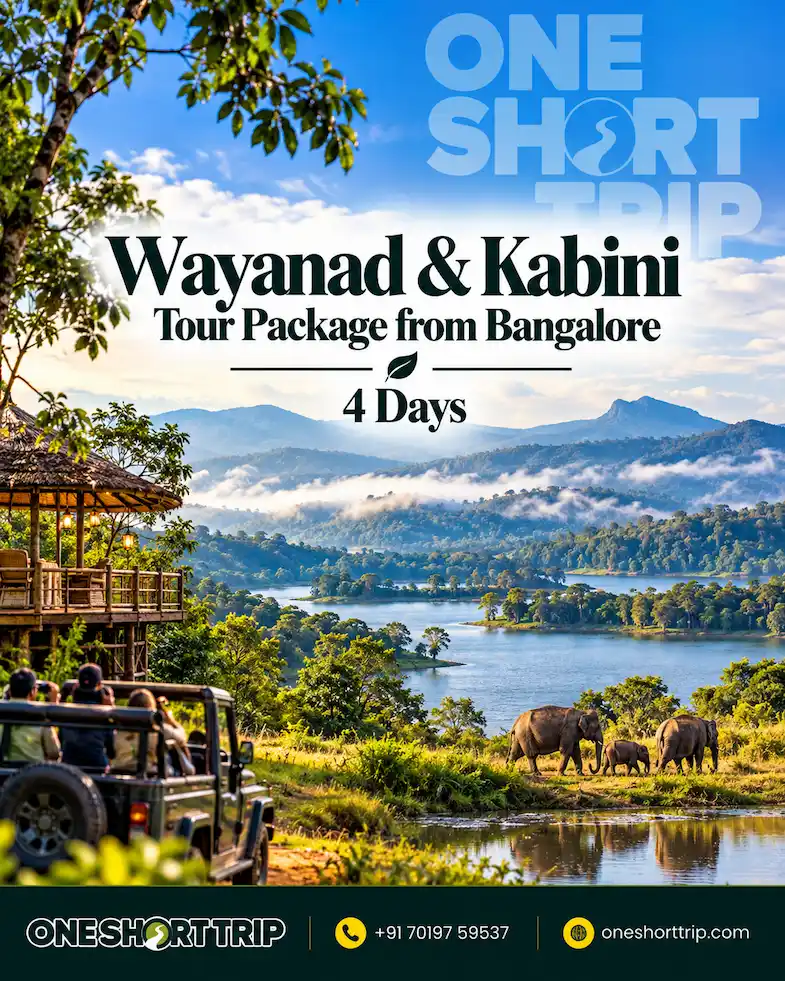 Wayanad and Kabini Tour from Bangalore