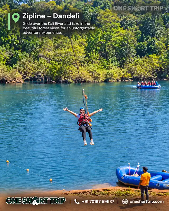 Zipline adventure activity in Dandeli