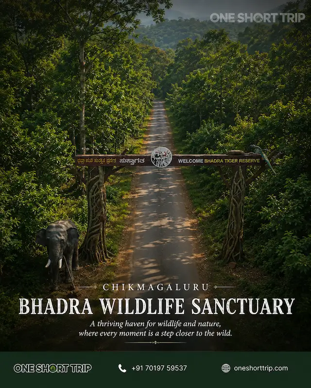 Bhadra Wildlife Sanctuary near Chikmagalur
