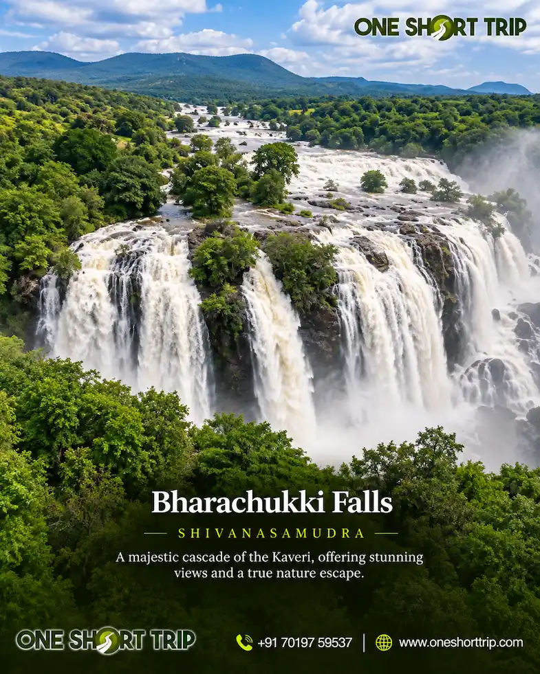Bharachukki Falls at Shivanasamudra on a one-day tour