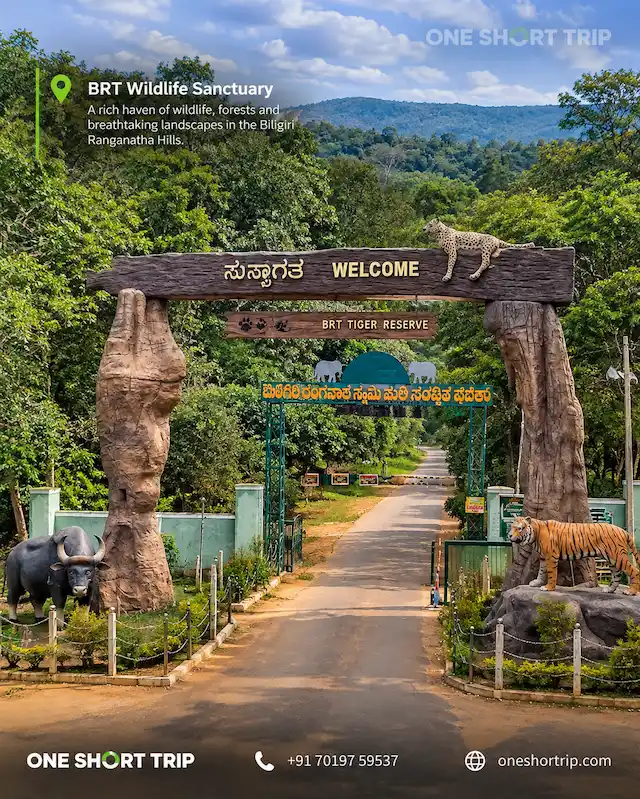 Biligiri Ranganathaswamy Tiger Reserve at BR Hills