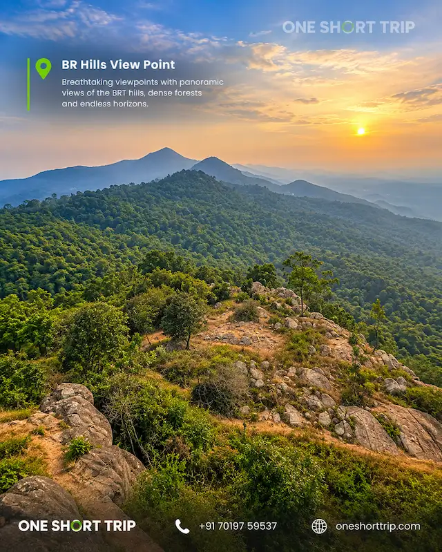 Biligiriranga Hills forest landscape on a BR Hills tour from Bangalore