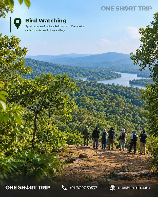 Birdwatching experience in the forests of Dandeli