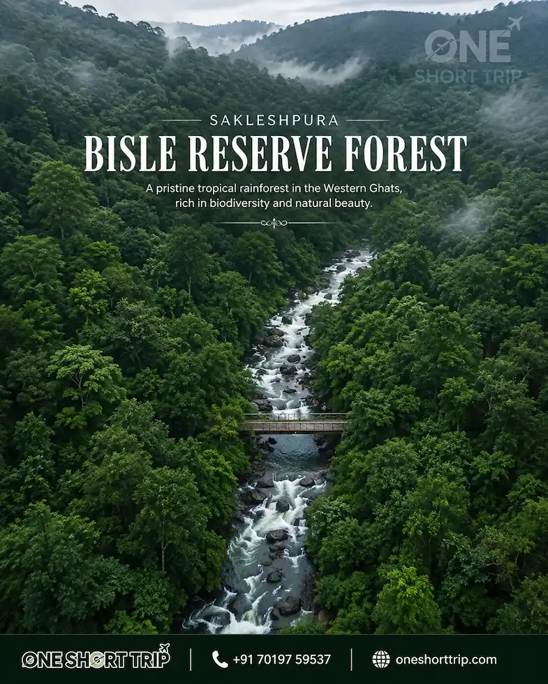 Forested landscape of Bisle Reserve Forest near Sakleshpur