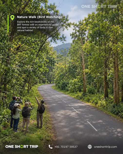 Guided wildlife nature walk in BR Hills
