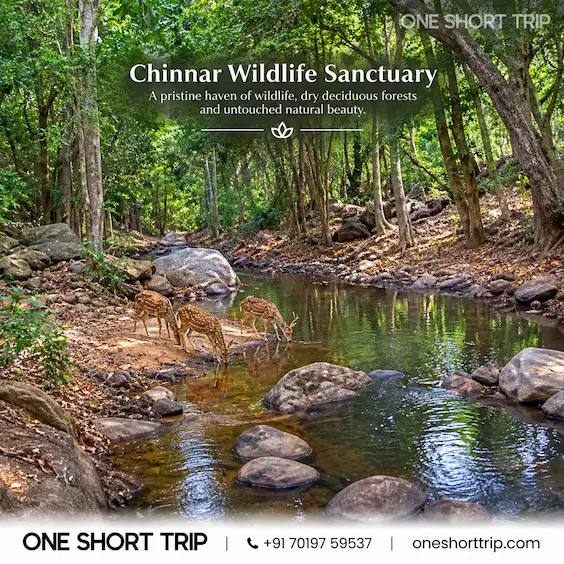 Chinnar Wildlife Sanctuary near Munnar Kerala