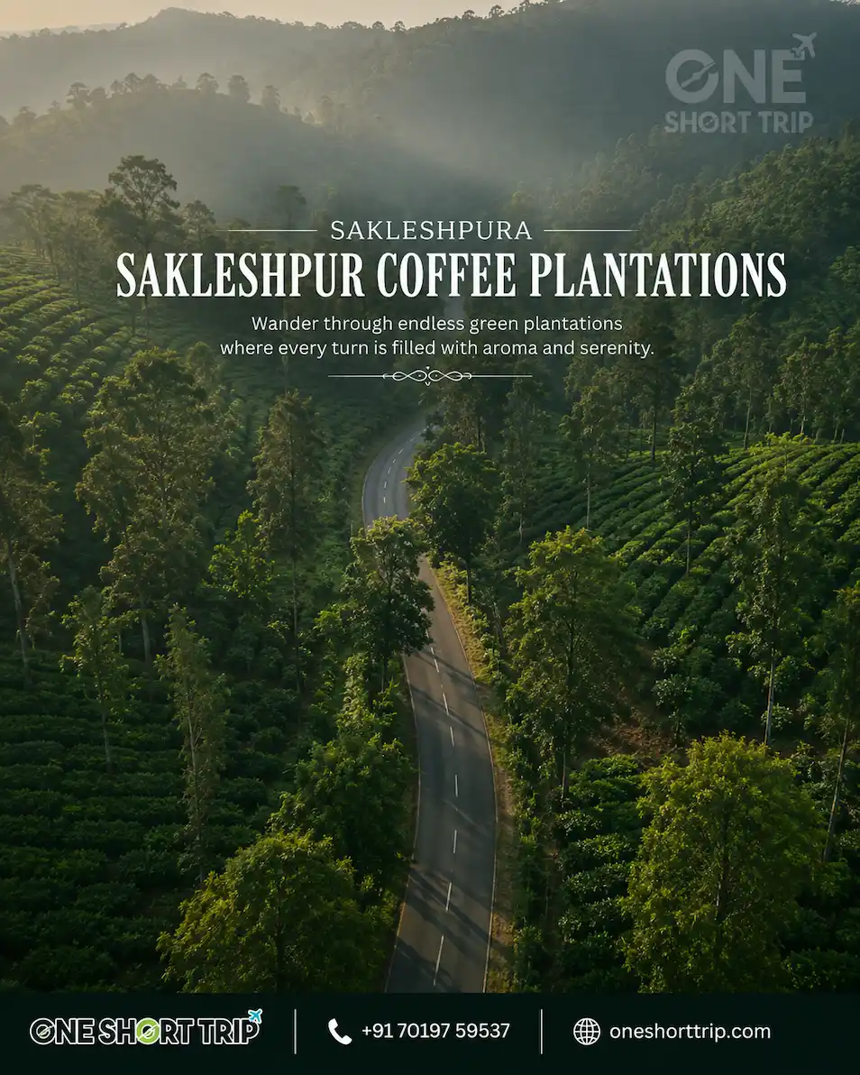 Coffee plantations during a three-day Sakleshpur tour from Bangalore
