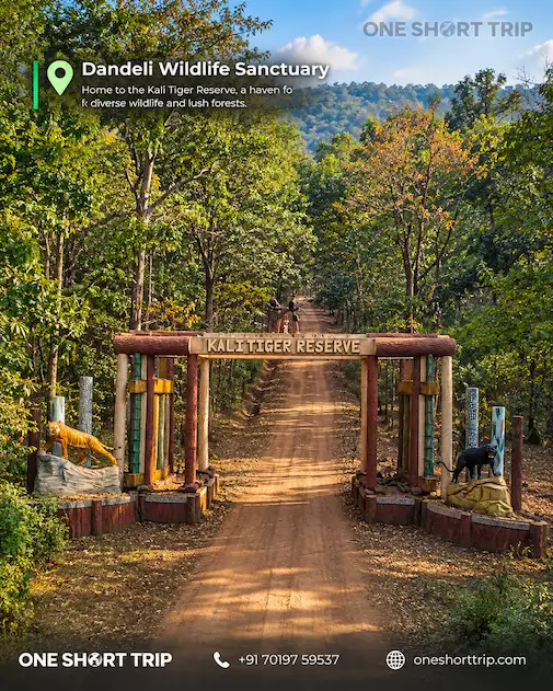 Dandeli forest landscape on a tour package from Bangalore