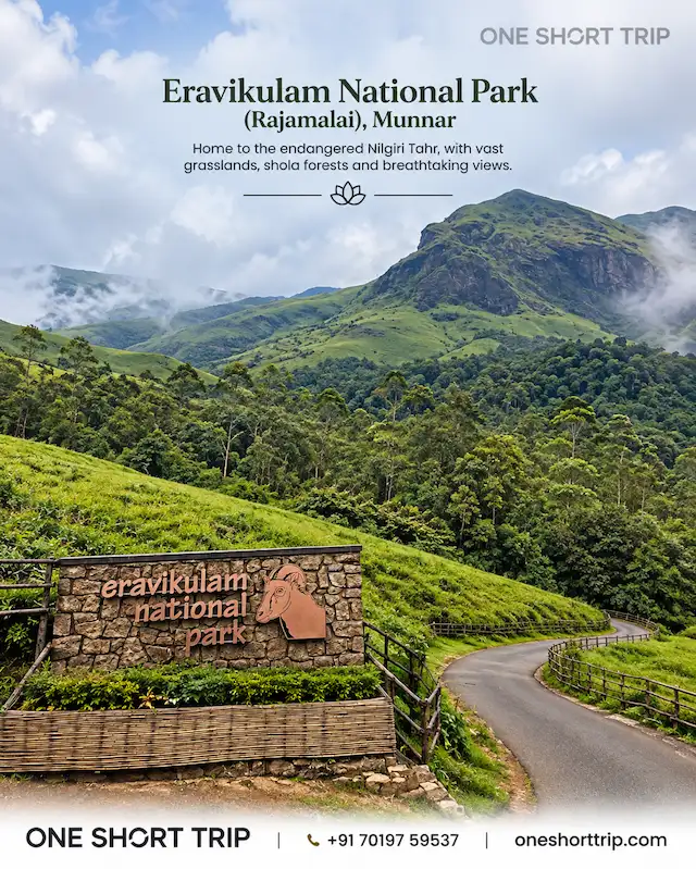 Eravikulam National Park in Munnar on a Munnar and Thekkady tour from Bangalore