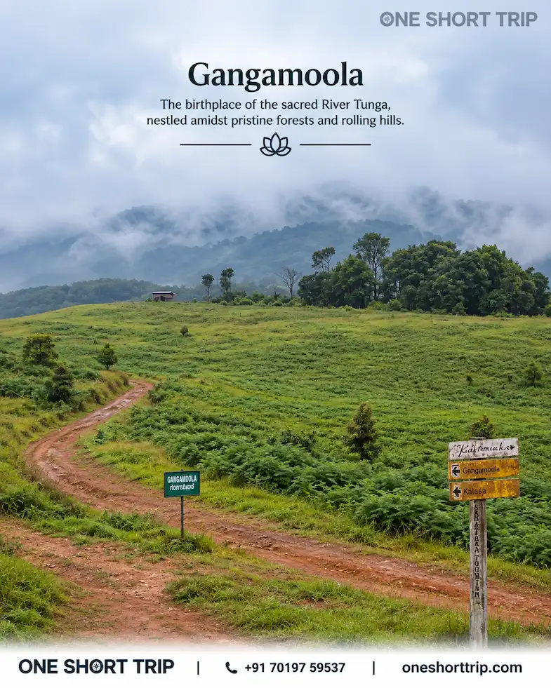 Gangamoola forest area near Kudremukh and Sringeri